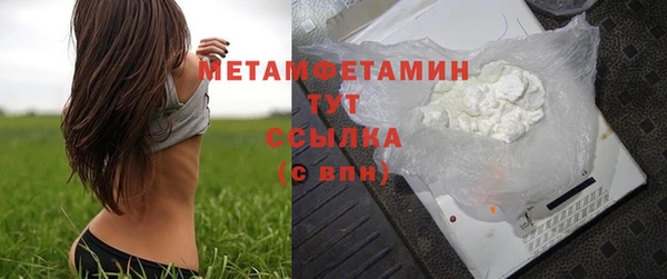 стаф Касимов