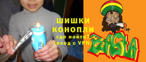 стаф Касимов
