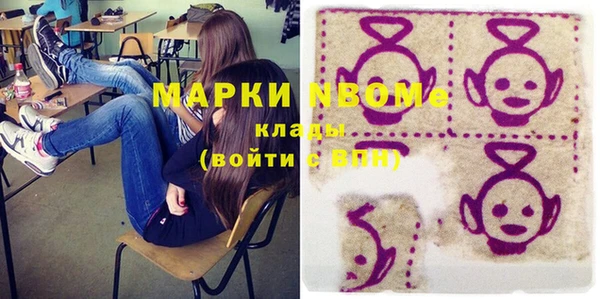 стаф Касимов