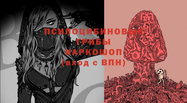 стаф Касимов