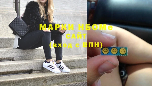 стаф Касимов