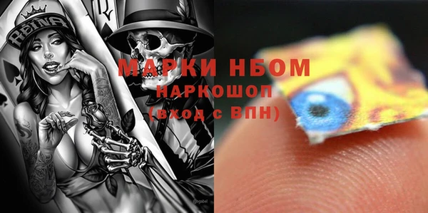 стаф Касимов