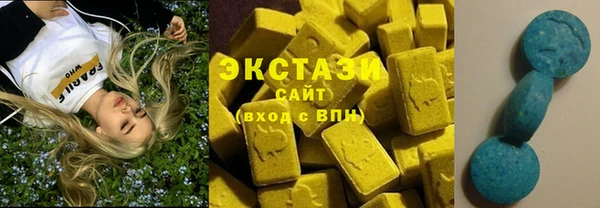 стаф Касимов