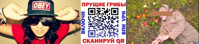 Псилоцибиновые грибы прущие грибы  Купить закладки  Вышний Волочёк 