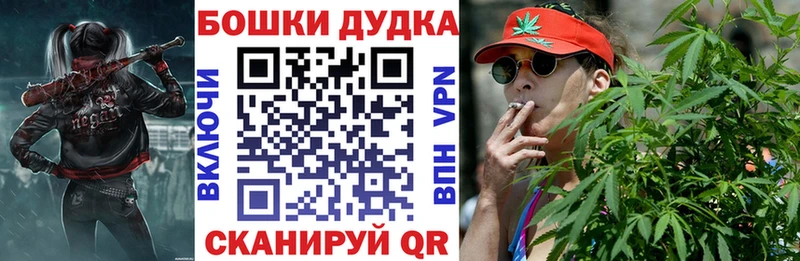 Купить закладки  Вышний Волочёк  Бошки марихуана тримм 